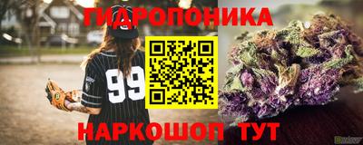 тгк Обь